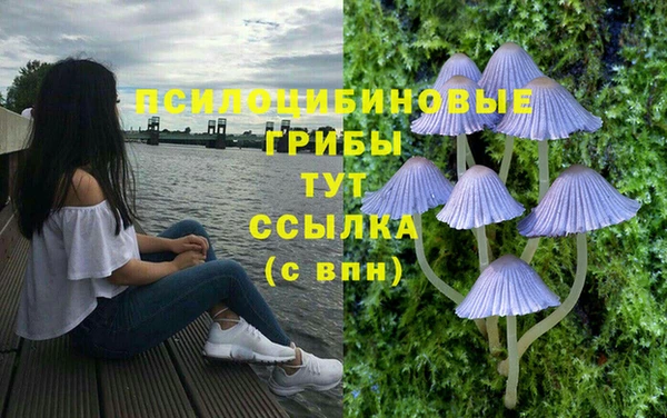 a pvp Липки