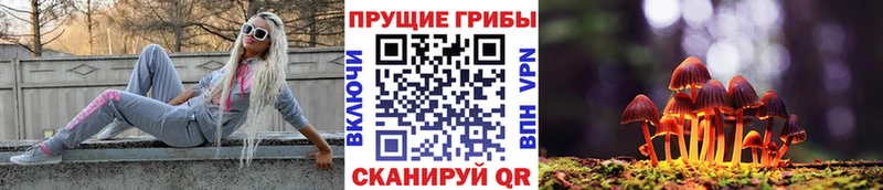 Галлюциногенные грибы мицелий  Ачинск 