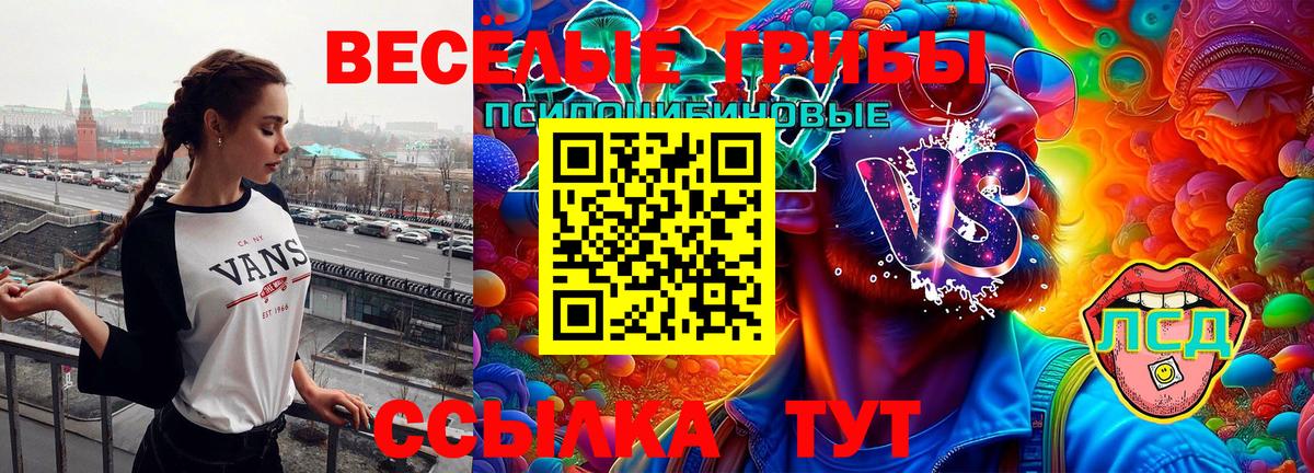 Псилоцибиновые грибы Cubensis  Галлюциногенные грибы ЛСД  Ачинск 