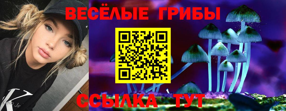 Галлюциногенные грибы мицелий Ачинск