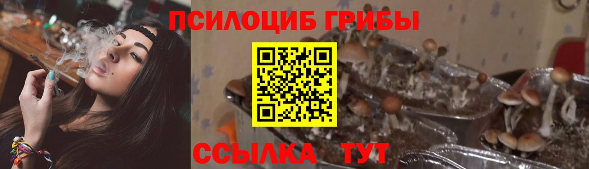 Галлюциногенные грибы мицелий  Вход с VPN  хочу   Ачинск 